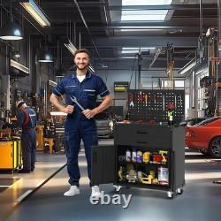 Tool Chest Cabinet Mobile Garage Workbench 35 High with 2 Drawers